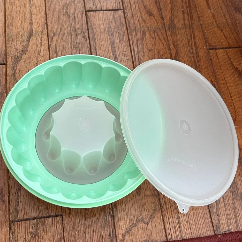 Vintage Mint Green Silicone Gelatin and Dessert Mold